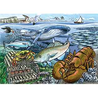 Life in the Atlantic Ocean 35PC Tray Puzzle image 0